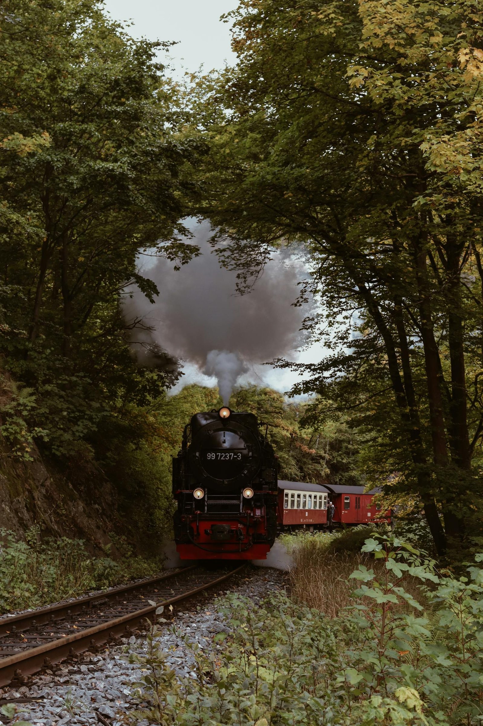 Historic steam train moving through a vibrant autumn forest in Harz, Germany.