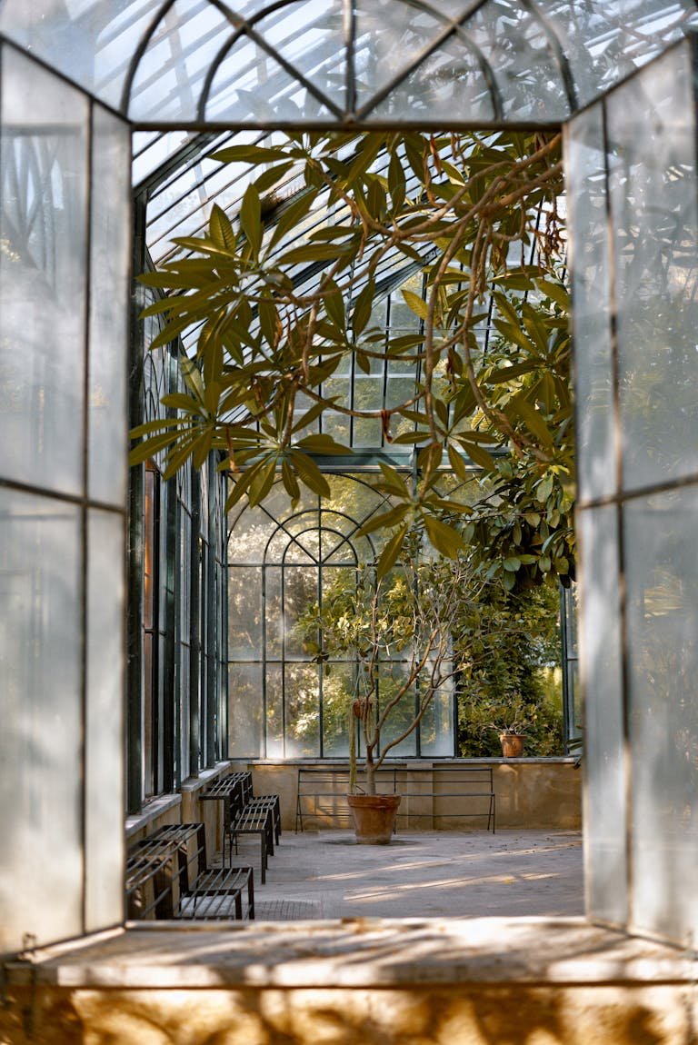 Peaceful greenhouse space with lush plants and natural light streaming through glass windows.